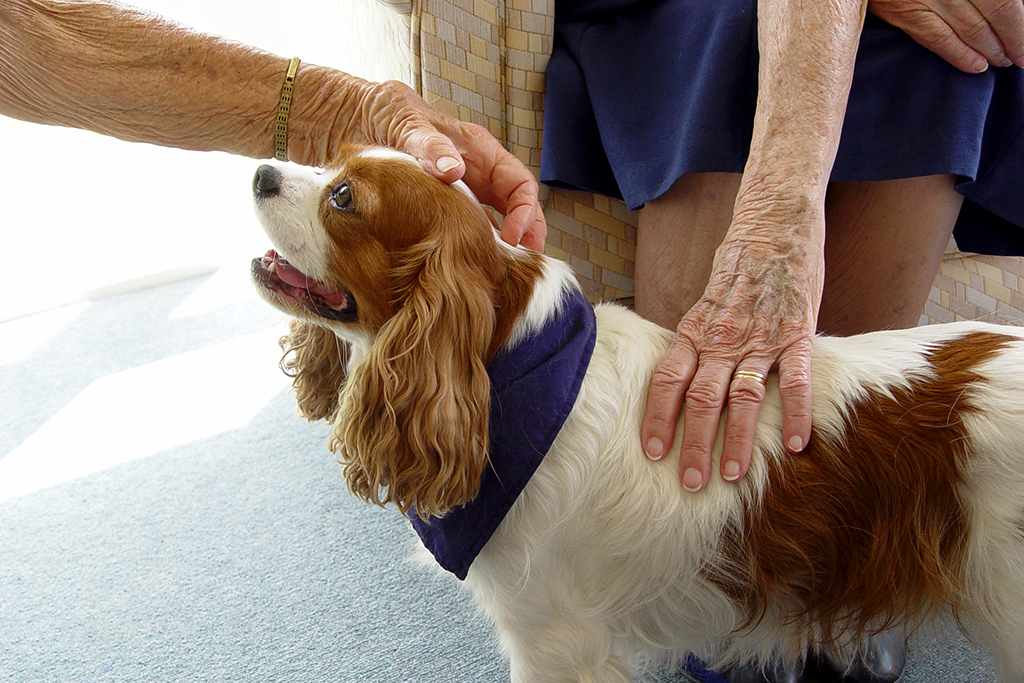 Foto con cane e due persone anziane che lo accarezzano